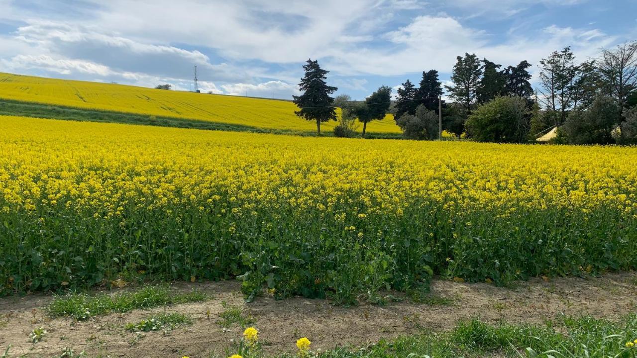 Brezza Affittacamere Montemarciano Exterior foto